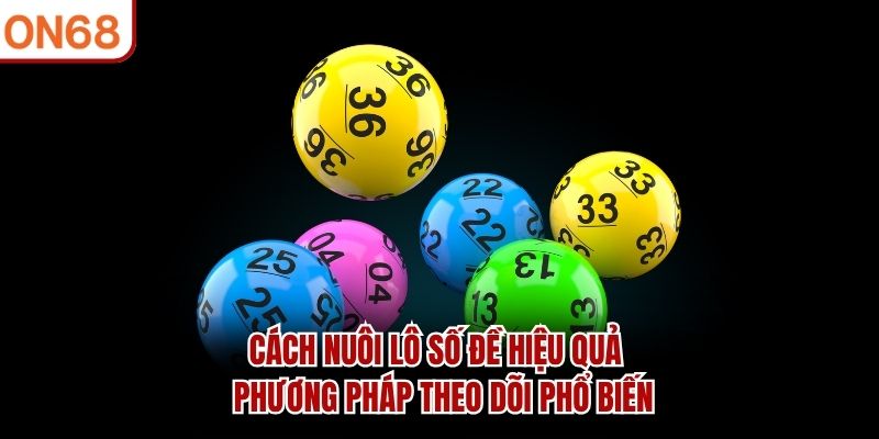 cach-nuoi-lo-so-de-hieu-qua-phuong-phap-theo-doi-pho-bien