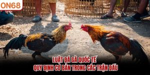 luat-da-ga-quoc-te-quy-dinh-co-ban-trong-cac-tran-dau