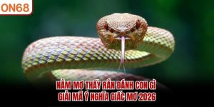 nam-mo-thay-ran-danh-con-gi-giai-ma-y-nghia-giac-mo-2026