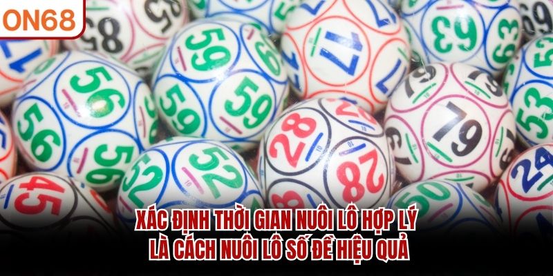 Xác định thời gian nuôi lô hợp lý là cách nuôi lô số đề hiệu quả